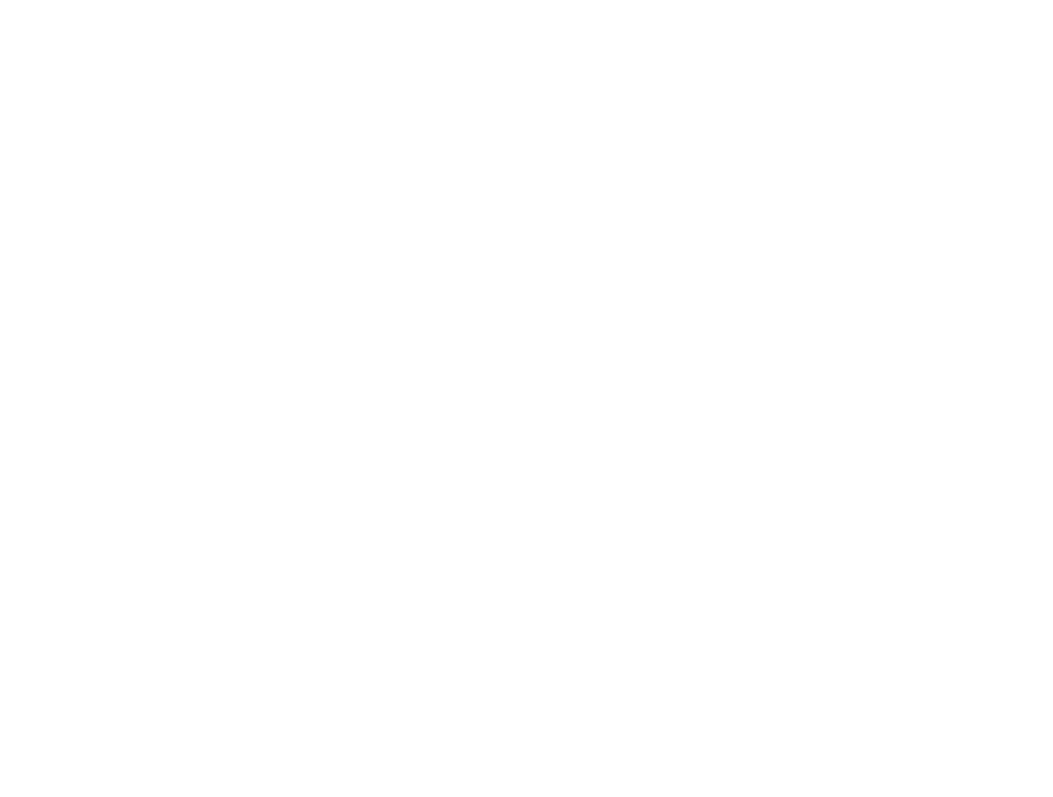 nsk-aip-logo